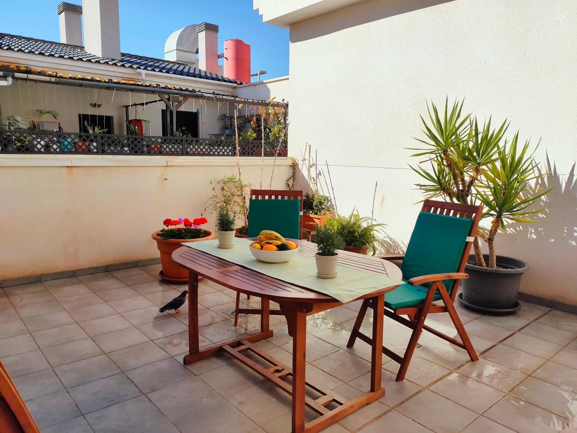 Ferienwohnung Atico - Piscina Malaga Centro Exterior foto